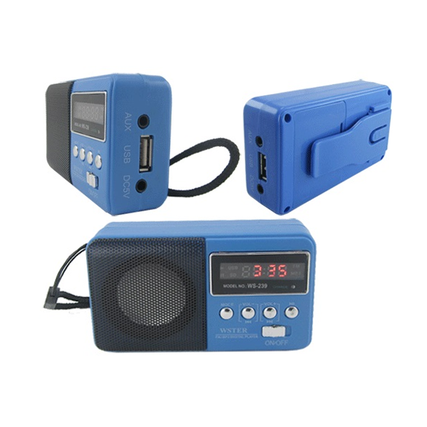 اسپیکر بلوتوثی شارژی WSTER مدل WS-239
