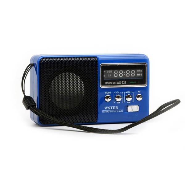 اسپیکر بلوتوثی شارژی WSTER مدل WS-239