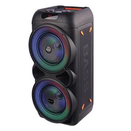 اسپیکر ایستاده ROYAL مدل RS-D33